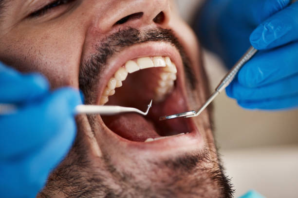 Professional Holistic Dental Care Services in North Fork, AZ